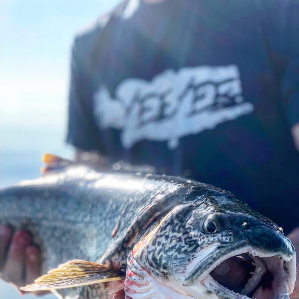 Yee Yee Fish T-Shirt - Medium, yee yee fishing, yee yee shirt